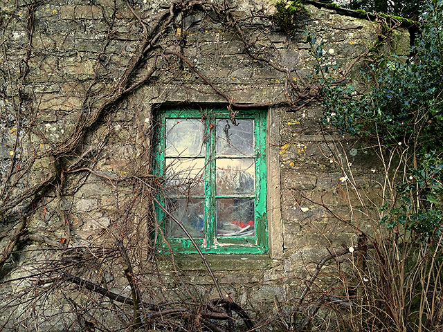 photograph by Andrew Robinson